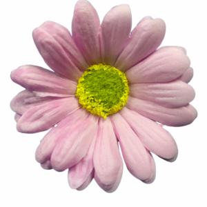 FLOR DE JABON - GERBERA